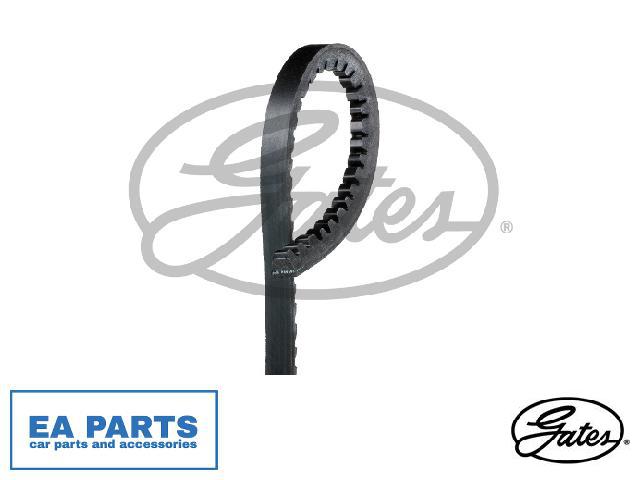 V-Belt for ALFA ROMEO AUDI BEDFORD GATES 6465MC | eBay